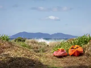 Create Your Coastal Retreat