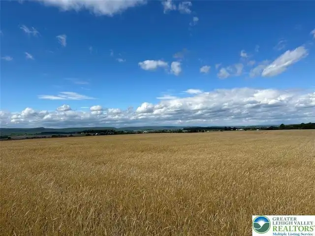Large Image