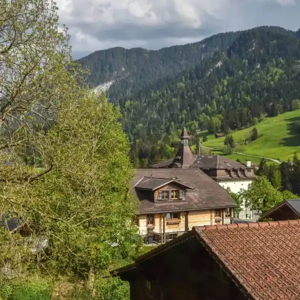 NEWLY BUILT MODERN CHALET