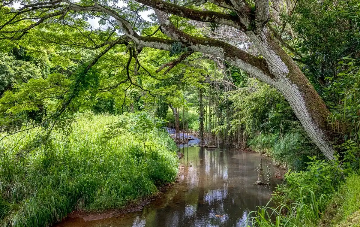  Hidden Oasis Nestled in the Keapana Valley