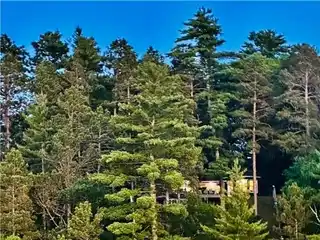 Charming Cabin with Beach on Big Trout Lake