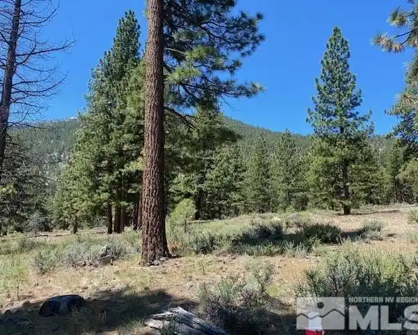 EXCEPTIONAL OPPORTUNITY AT CLEAR CREEK TAHOE