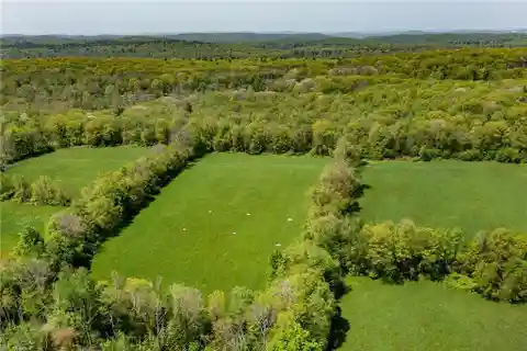 Stunning 93 Acres in Warren