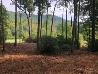 Easily-Buildable Parcel in a Prestigious Gated Community