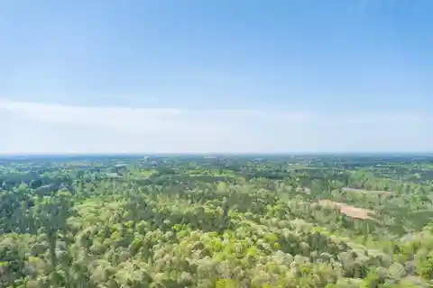 Over 22 Acres with Beautiful Home