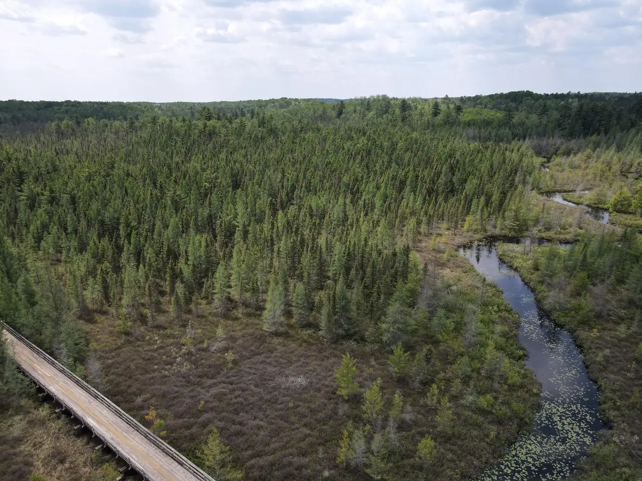 Large Image