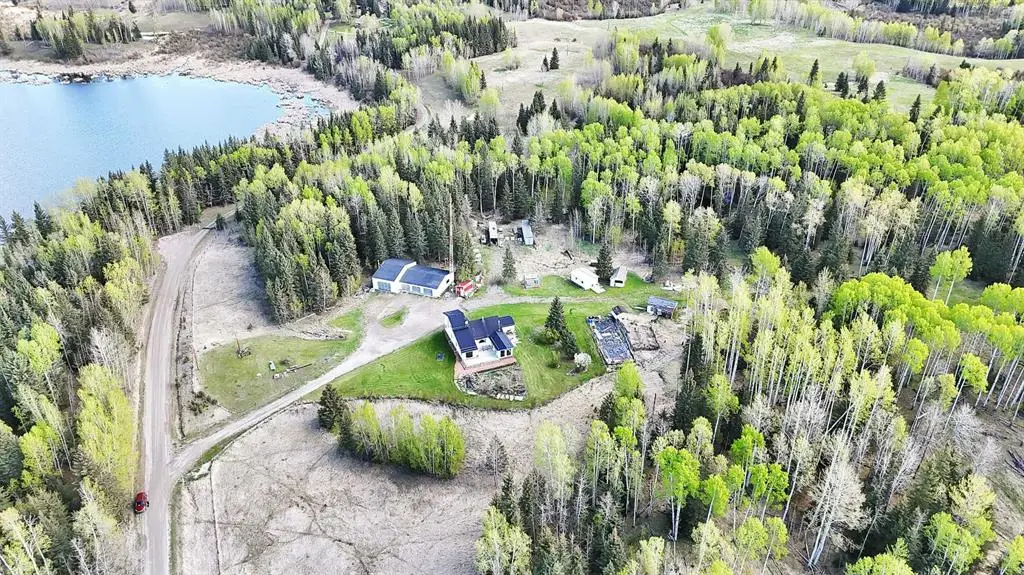 Large Image