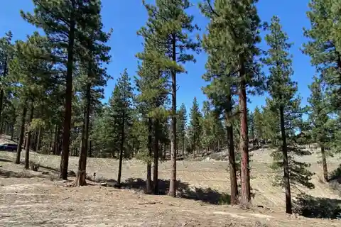 Spacious Building Site High Above a Streambed