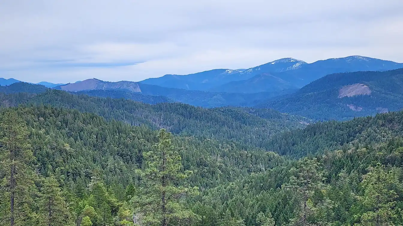 Versatile 320-acre Property