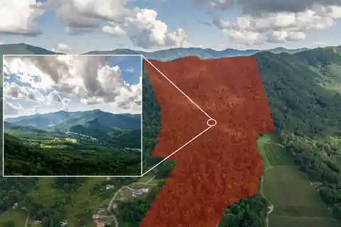 125 Wooded Acres - Create a Secluded Private Estate