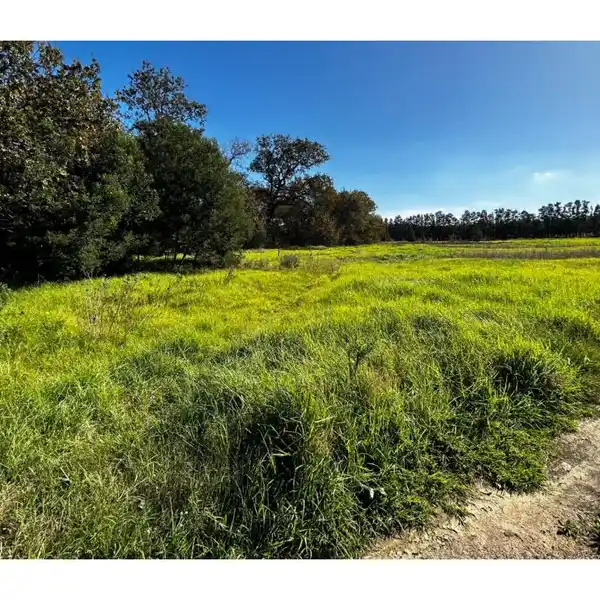 STUNNING 12-HECTARE FARM