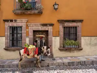 Casa Aldama