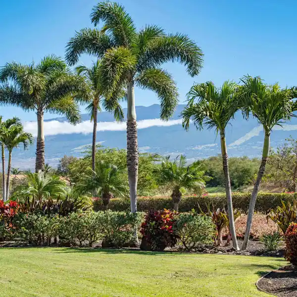 CUSTOM HOME IN THE HOKULANI GOLF VILLAS