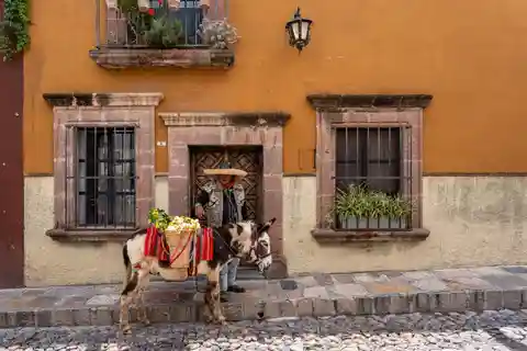 Casa Aldama