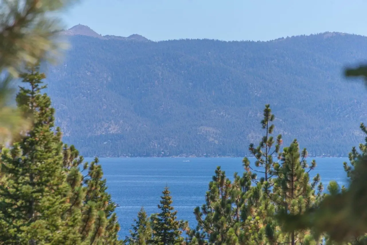 Large Image