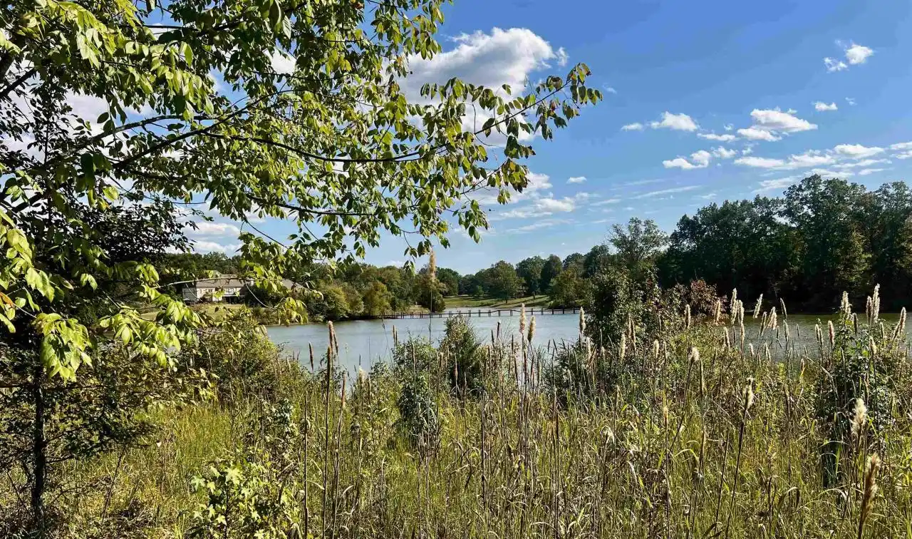 27.5 Acres Overlooking Private James Lake