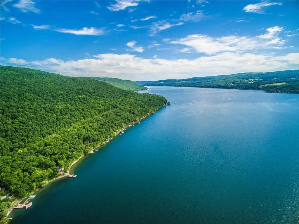 Large Image