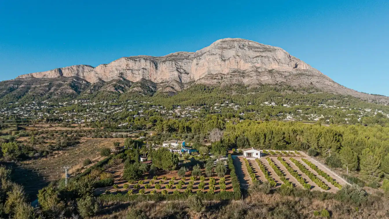 Exquisite Mediterranean Villa Surrounded by Fruit Groves