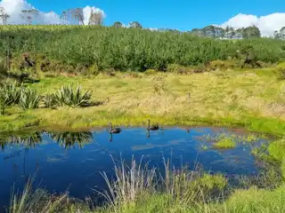 Build Your Dream Home on a Sprawling Property