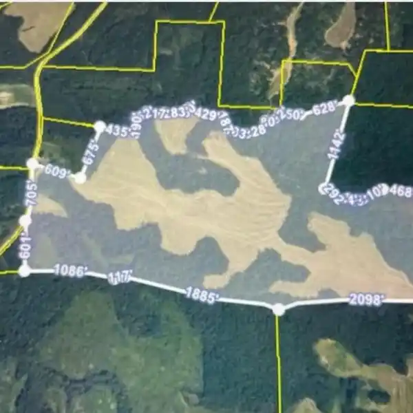 OVER 200 ACRES OF LAND IN MADISON COUNTY