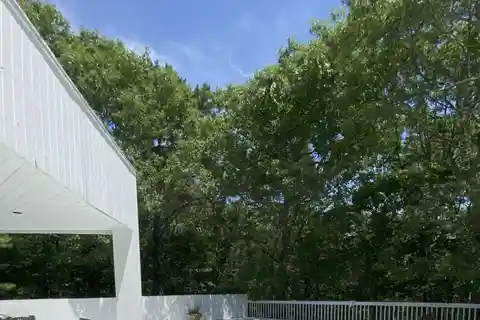 Bright and Open Contemporary Home for Rent