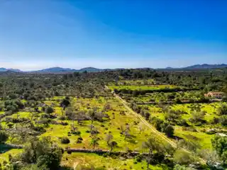 Large Plot with House to Renovate Surrounded by Nature in Artà