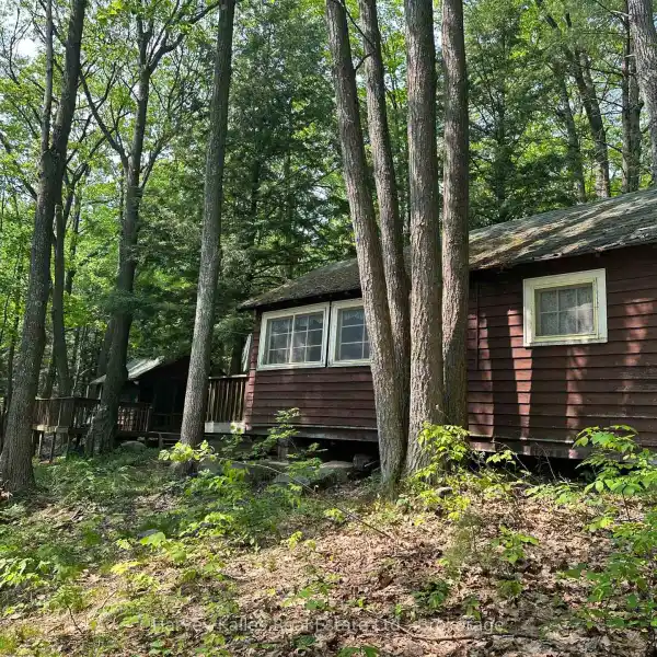 82 ACRE LAKEFRONT PROPERTY WITH ENDLESS POSSIBILITIES