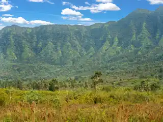 Once-In-A-Lifetime Opportunity of 64 Acres