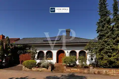 Wellness and Living on the Triller