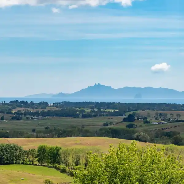 TE ARAI POINT LEGACY