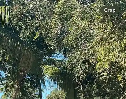 Prime Homesite to Be Built Steps from the Gulf