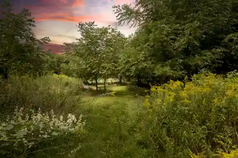 Expansive Waterfront Acreage with Endless Possibilities