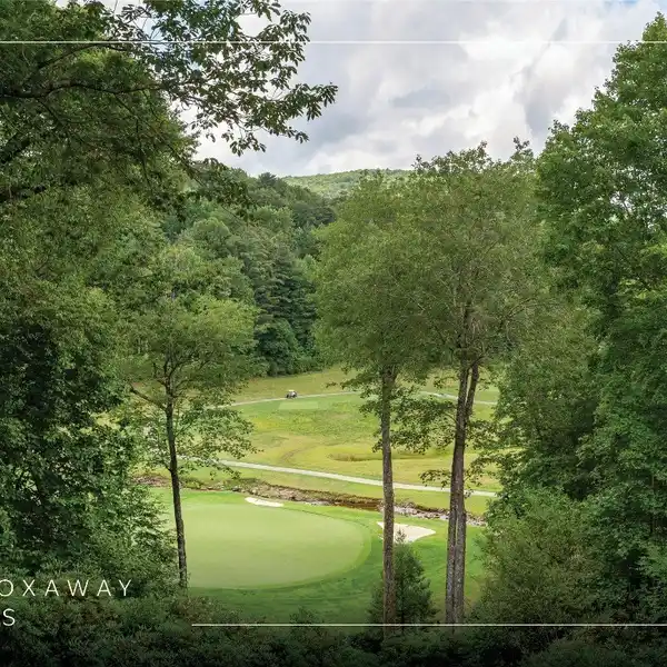 ARTS & CRAFTS BEAUTY ON LAKE TOXAWAY GOLF COURSE