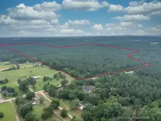 240 Acres of Prime Timberland