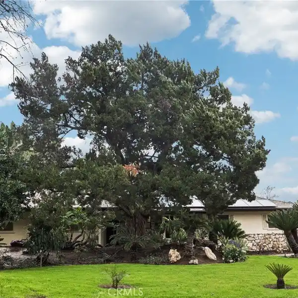 BEAUTIFUL SINGLE-LEVEL POOL HOME