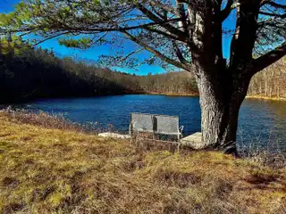 242 Acres Ready for Country Living