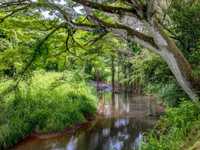  HIDDEN OASIS NESTLED IN THE KEAPANA VALLEY