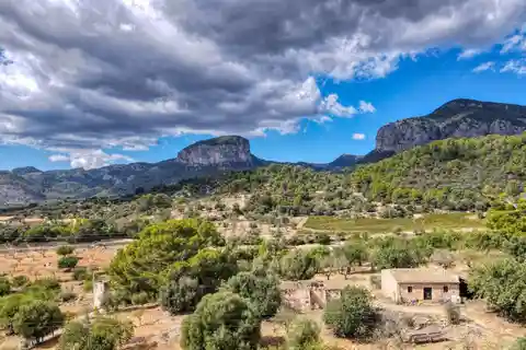 Expansive Property Offering Unique Possibilities