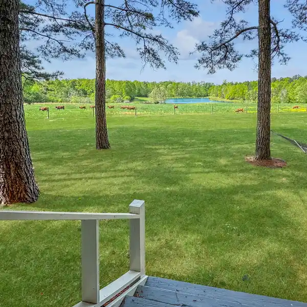 AMAZING EQUESTRIAN AND SPORTING RETREAT