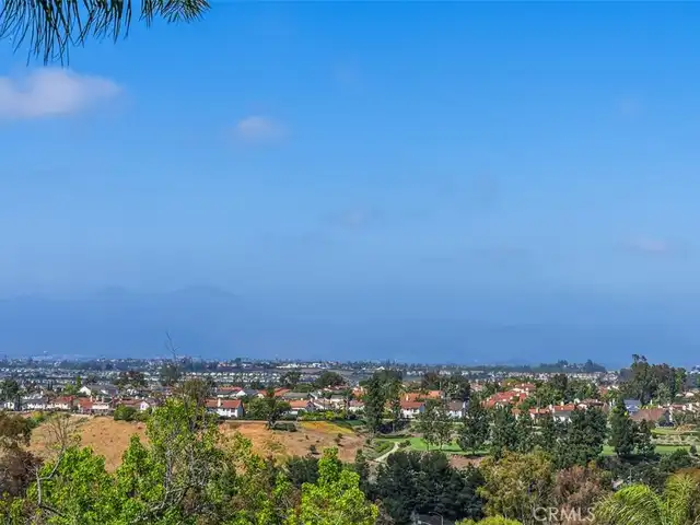 Large Image