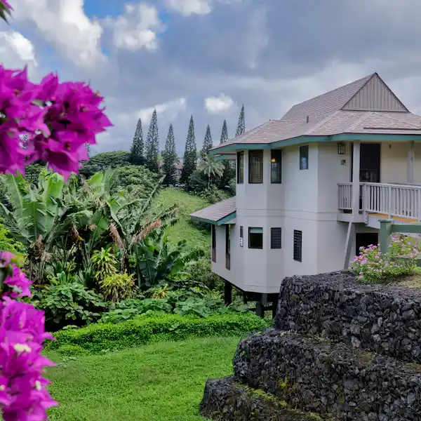 MODERN ELEGANCE AMID NATURAL BEAUTY