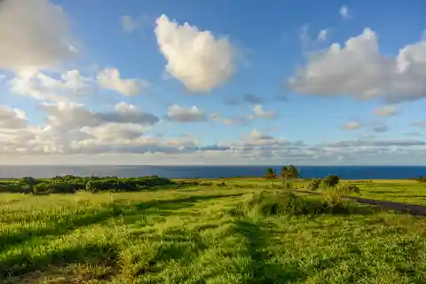 Private 15.6-Acre Lot in Pe'ahi Farms