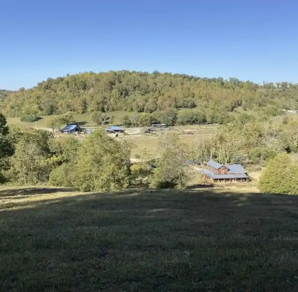 THE FARM