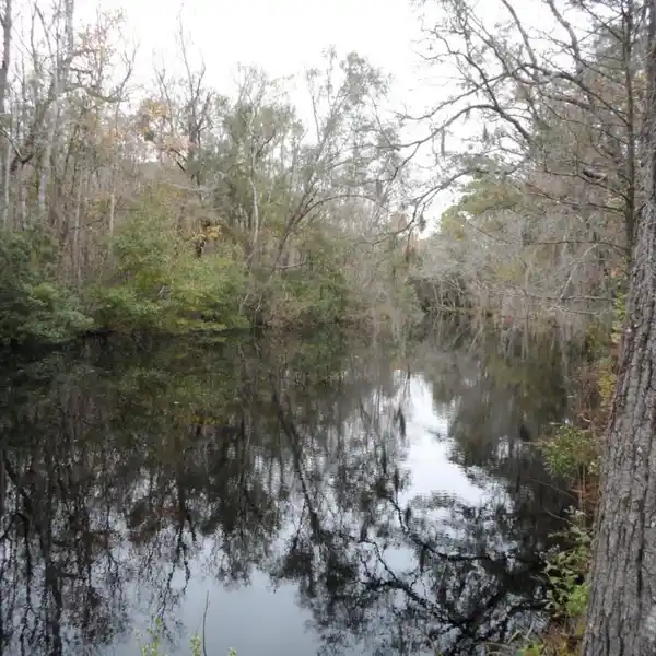 BEAUTIFUL ACREAGE