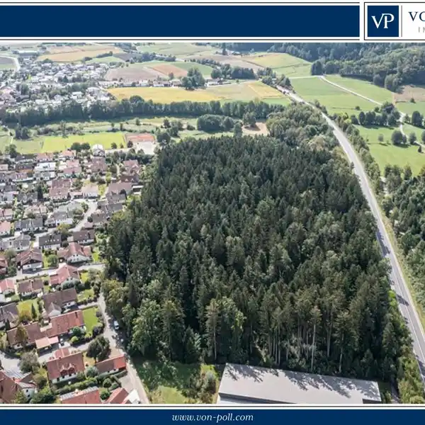 LARGE FOREST PLOT IN SOUGHT-AFTER LOCATION