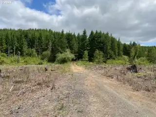 175 Acres Full of Potential