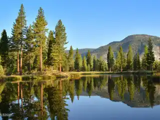 More Than Two Acres in Clear Creek Tahoe