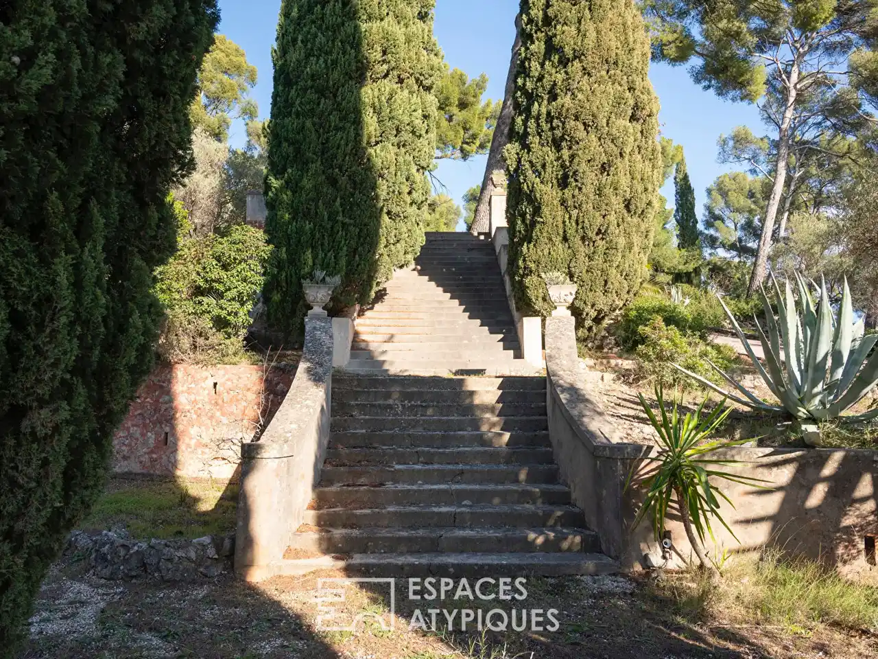 Large Image