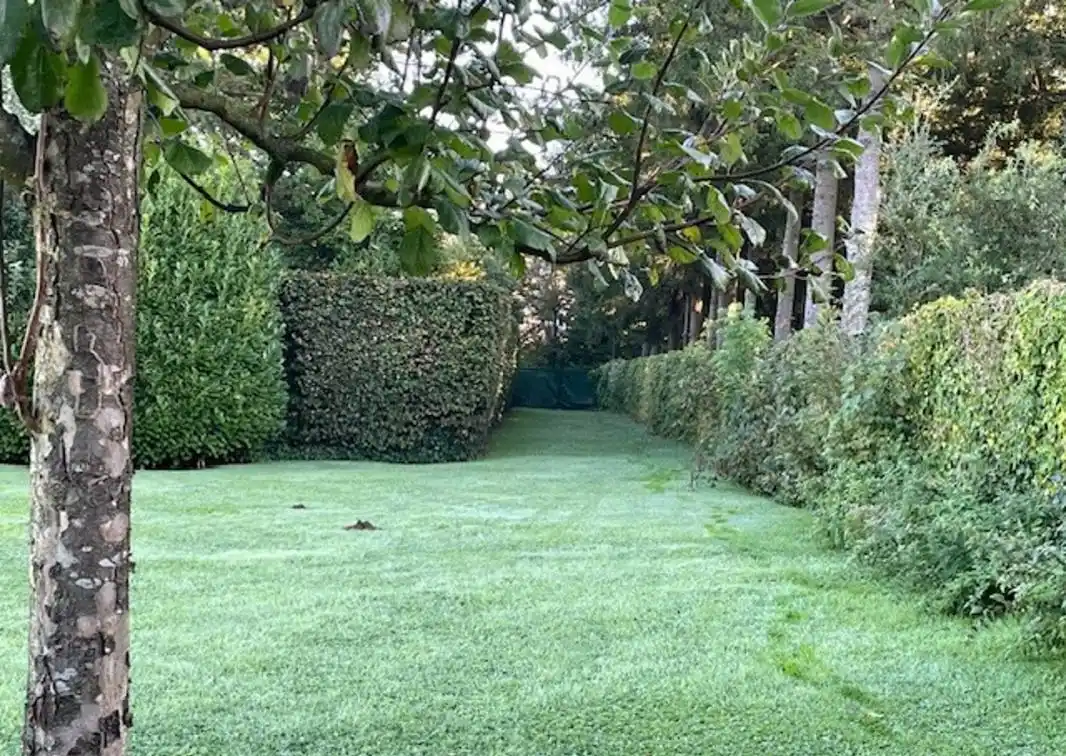 Beautiful Building Plot