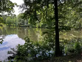37 Spectacular Acres with Compound Potential